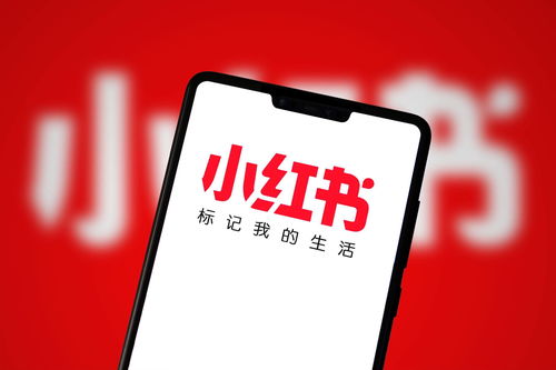 廣州小紅書(shū)達(dá)人推廣攻略 如何在網(wǎng)絡(luò)科技領(lǐng)域高效開(kāi)展技術(shù)開(kāi)發(fā)推廣